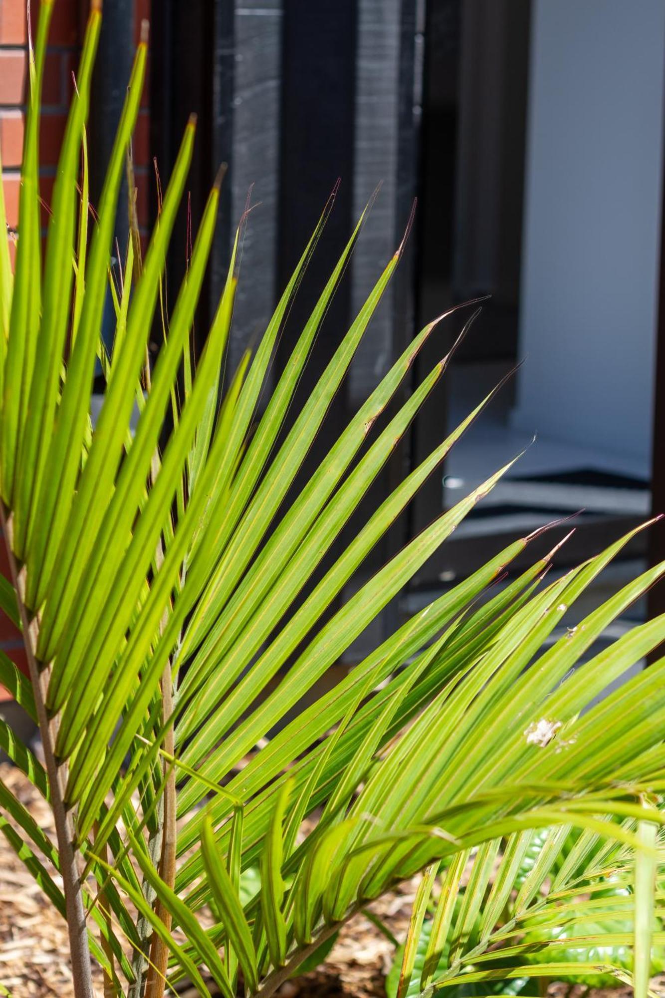 Apartamento Chic 2-Bed Gem: Trust Arena Proximity - West Akl Auckland Exterior foto